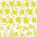 Explore in Citron